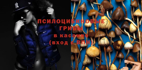 индика Навашино