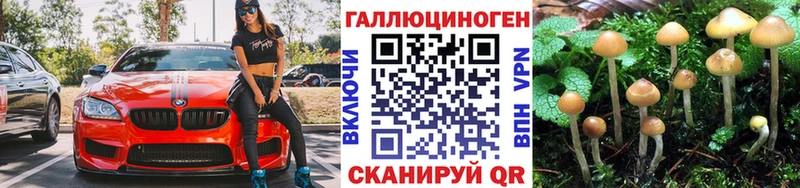 Галлюциногенные грибы Cubensis  Новосибирск 
