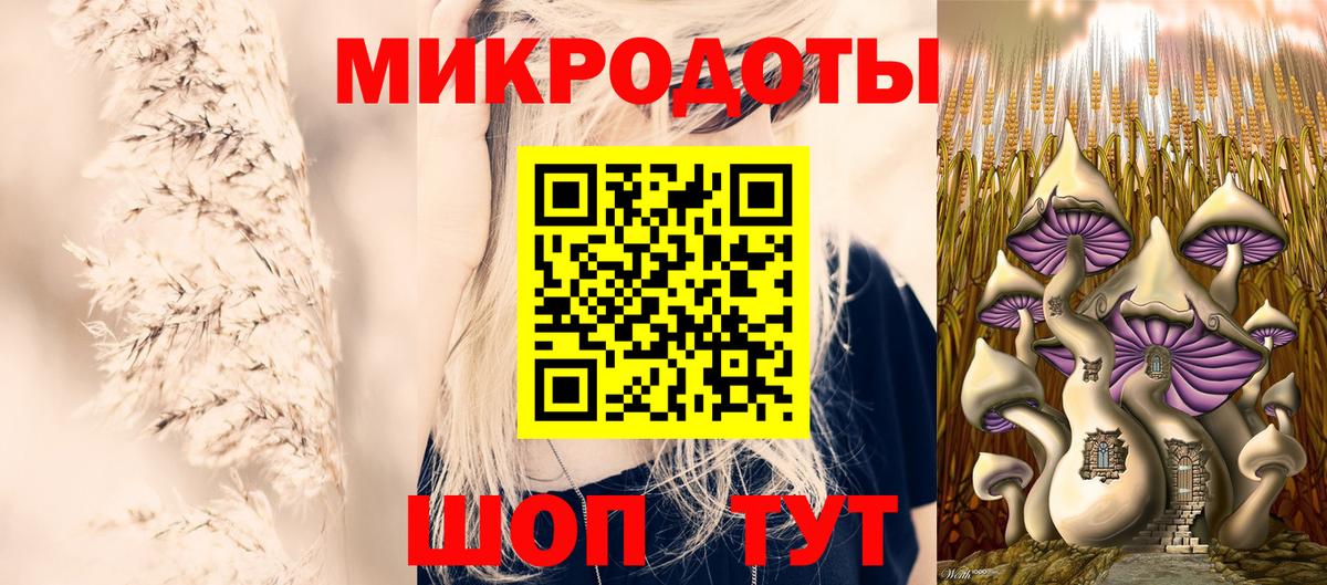купить наркоту  Галлюциногенные грибы мицелий  Галлюциногенные грибы Cubensis  Вход с VPN  Новосибирск 