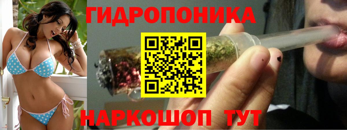 МАРИХУАНА план Новосибирск